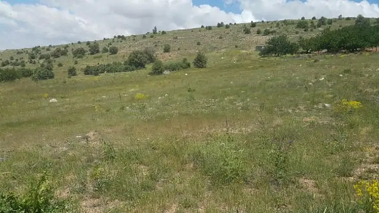 Hekimhan İlçesinde bulunan 6 taşınmazın satılacağı duyuruldu.