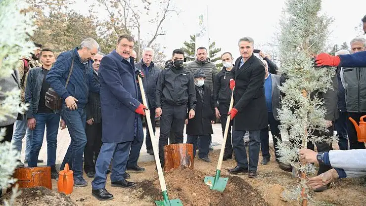 Hemşeri Dernekleri Orduzu Pınarbaşı'nda ağaç dikti
