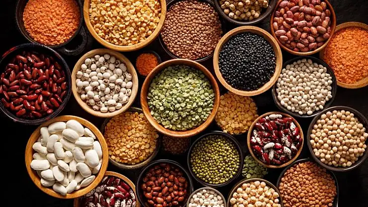 Hububat bakliyat yağlı tohumlar sektörü ihracatta 8 milyar doları aştı