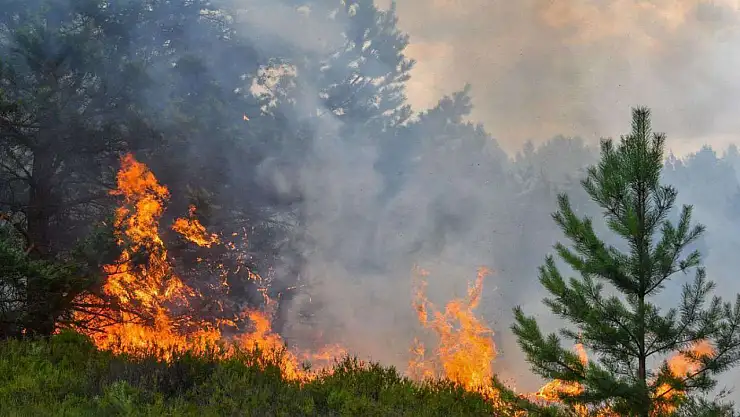 İki ilde orman yangını
