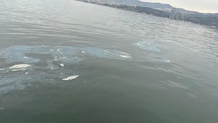 İzmir Körfezi'ni kirleten firmaya 8.3 milyon TL ceza