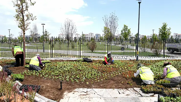 Kadın Eliyle Güzelleşen Şehir: Malatya'da Parklar Çiçek Açtı