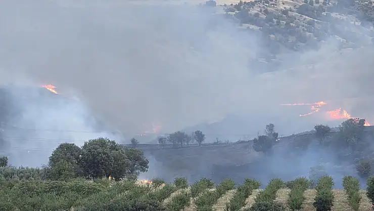Kahta'da tarlada korkutan yangın