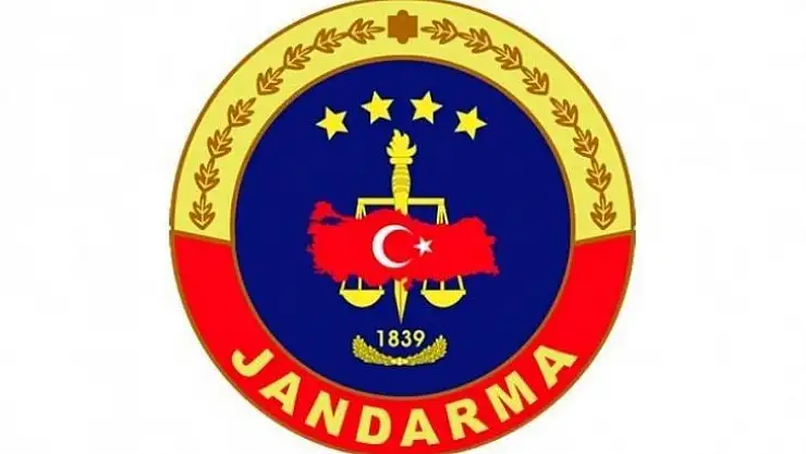 Kayıp Hayvanların Bulunması