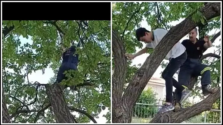 Kayısı Ağacına çıkan suriyeliyi itfaiye kurtardı