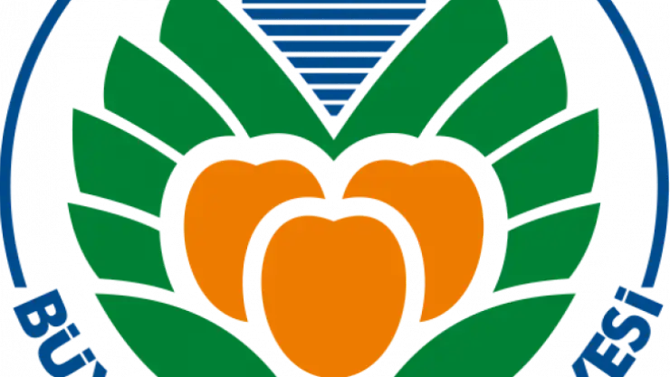 Kayısı Festivali Gerçekleştiriliyor