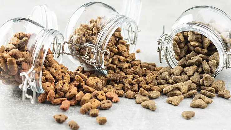 Kedi köpek maması ihracatı 10 yıl içerisinde 27 katına çıktı
