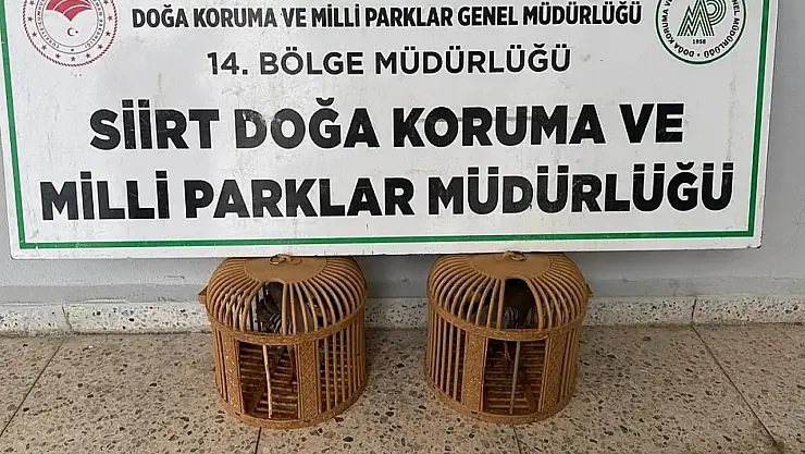 Kınalı keklik satın alan kişiye 19 bin 977 TL ceza kesildi