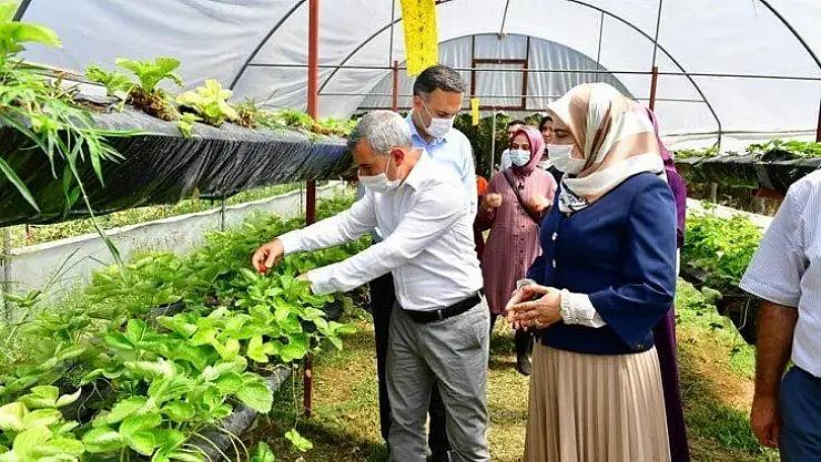 Kooperatifin Faaliyetleri, Tarımsal Kalkınma Hedeflerimize Katkı Sunacak