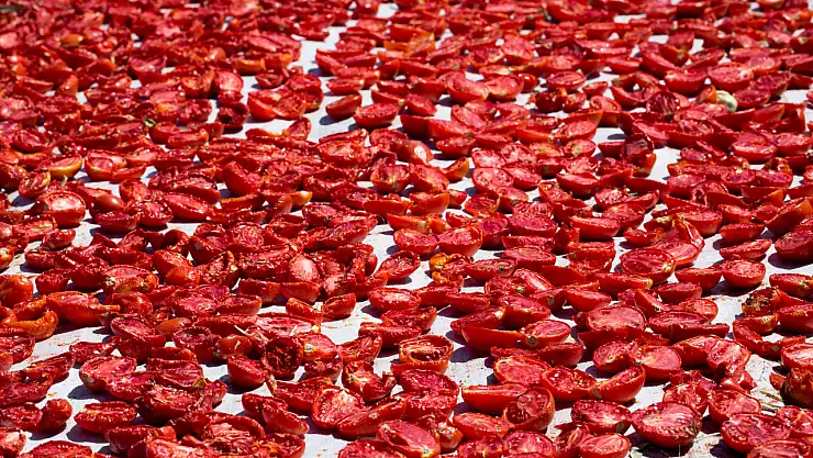 Kuru domates ihracatı 100 milyon doları aştı