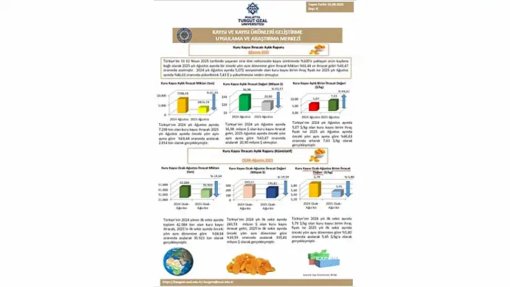 Kuru Kayısıda Gelir Kaybı: 2025 Ağustos'ta İhracat 21 Milyon Dolarda Kaldı