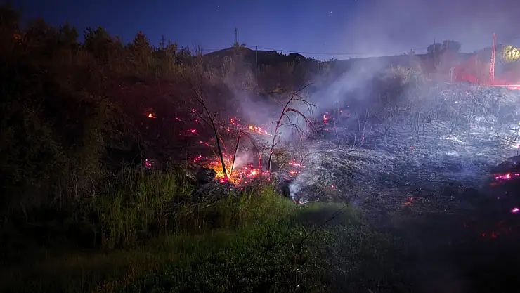 Malatya'da bahçe yangını: Çok sayıda ağaç zarar gördü
