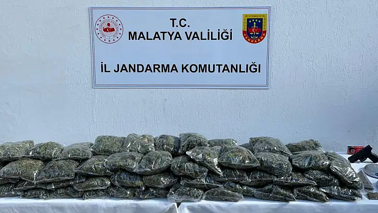 Malatya'da uyuşturucu operasyonu 1 şüpheli gözaltında