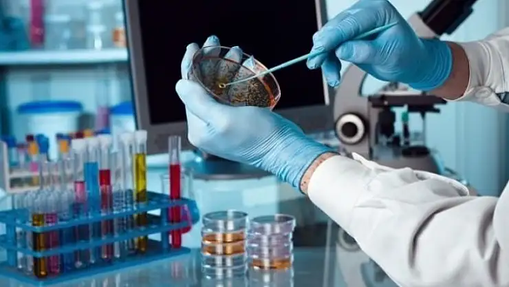 Türkiye 150 kişinin peşinde