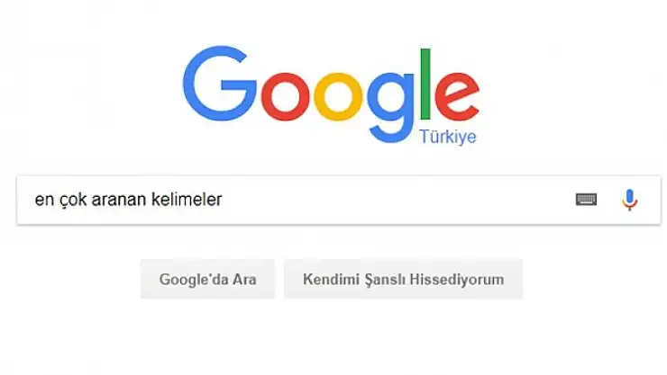 Google'da En Çok Neleri Aradık