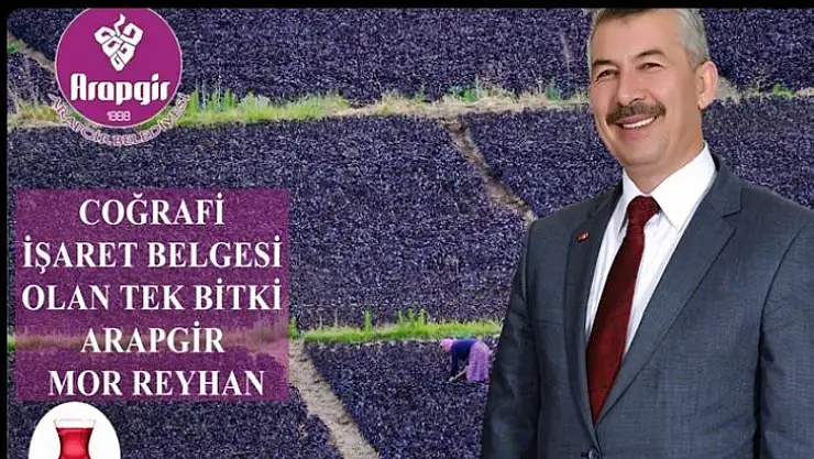 Arapgir'in Mor Reyhanı Coğrafi İşaret Belgesi Alan İlk Bitki Oldu