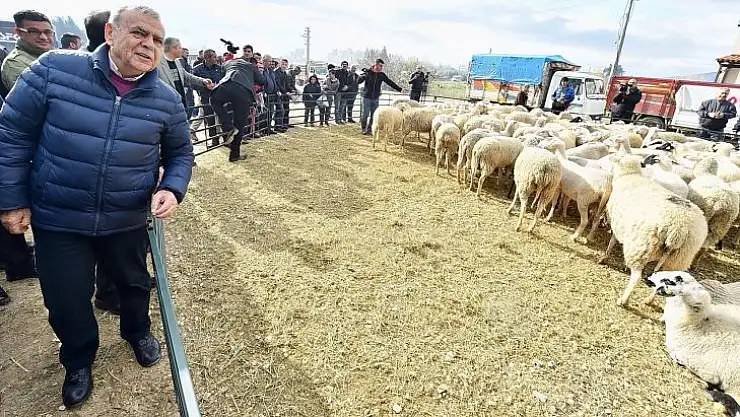 İzmir'de tarım işte böyle gelişiyor