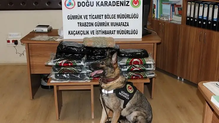 Valiz'den Esrar Çıktı
