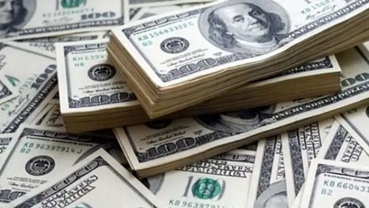 Türkiye'nin ödeyeceği dış borç faizi