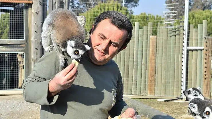 İncirin hastasıyız