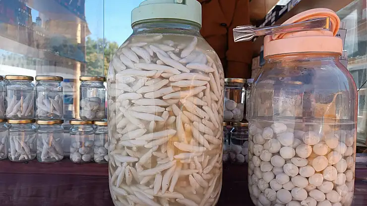 Malatya'nın Darende ilçesinde sembolleşen kenger sakızı