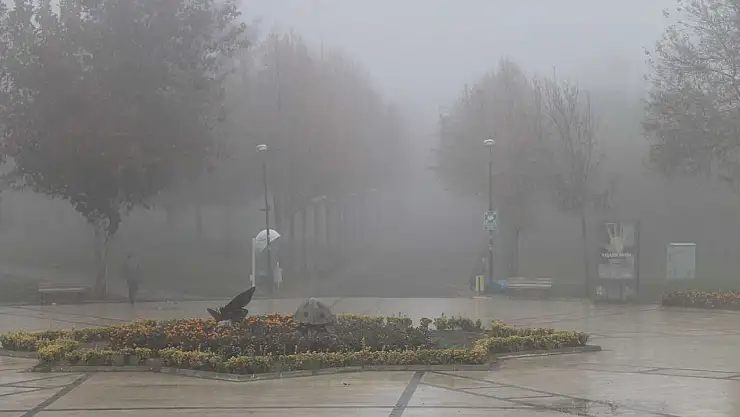 Meteoroloji'den Sağanak ve Sis Uyarısı: Kıyı Ege ve Doğu Anadolu'da Yağış Bekleniyor