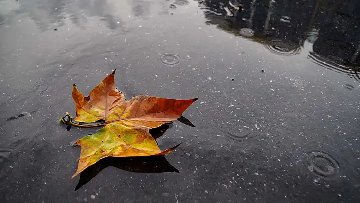 Meteoroloji'den Uyarı Üstüne Uyarı: Yağış, Sis ve Sıcaklık Düşüşü Kapıda