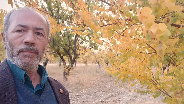 Muhtar Ali Yiğit'ten Çağrı: Malatya'ya İlk Açık Hava Kayısı Müzesi Kurulsun