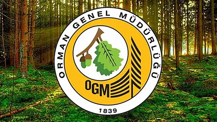 OGM 262 Daimi İşçi Alacak: Engelli ve Eski Hükümlülere Fırsat