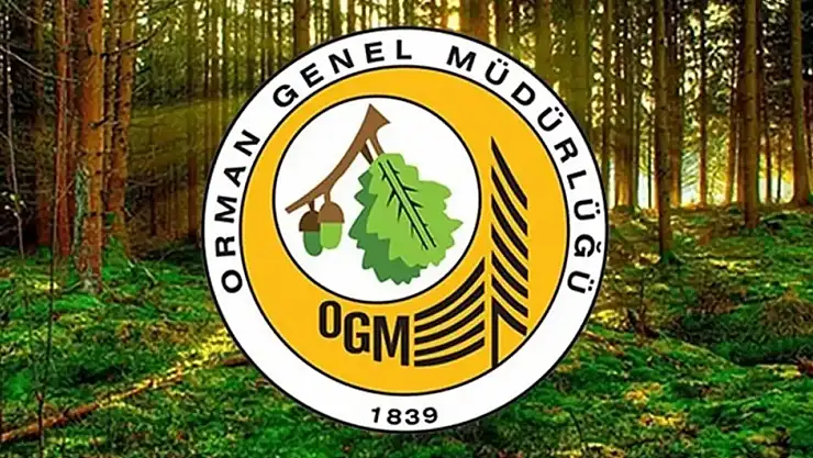 Orman Genel Müdürlüğüne 496 sözleşmeli personel alınacak