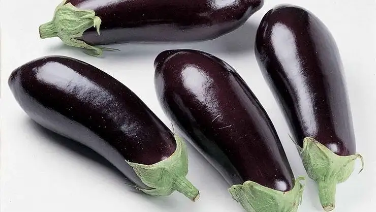 Patlıcan Sapının Bilinmeyen Faydaları