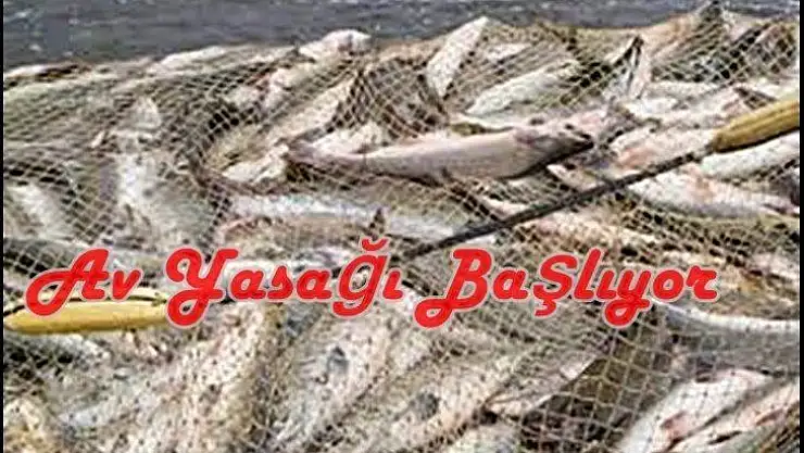 Su Ürünleri Av Yasağı Başlıyor