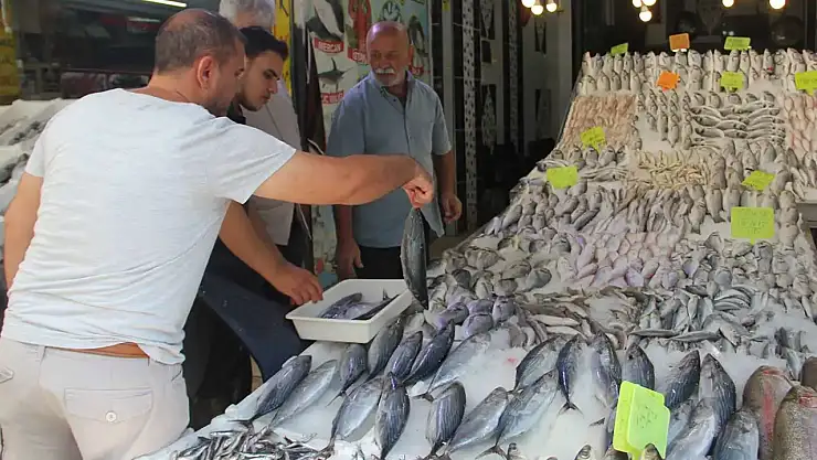 Su ürünleri yetiştiricilerine verilecek destekler belirlendi