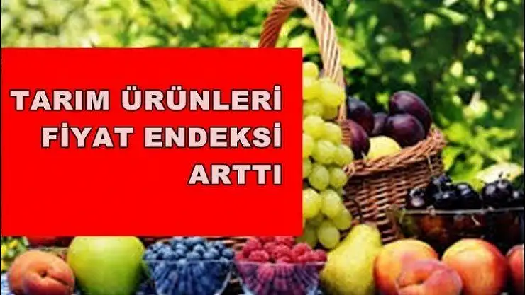Tarım ürünleri üretici fiyat endeksi arttı