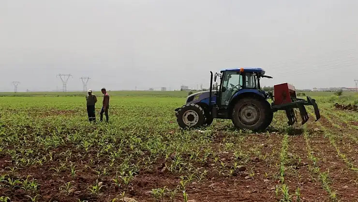 Tarım ve Orman Bakanlığı'ndan 2025-2027 Bitkisel Üretim Destekleri: Organik Tarımdan Genç Çiftçilere Yeni Teşvikler