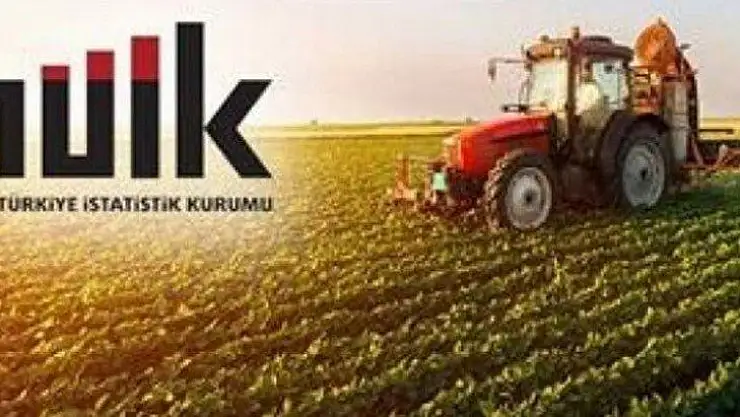 Tarımsal Girdi Fiyat Endeksi