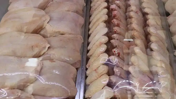 Tavuk Eti Üretimi Arttı, Yumurta Üretimi Geriledi