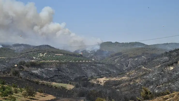 Tekirdağ ve Balıkesir'de orman yangınları: Bin 320 kişi tahliye edildi