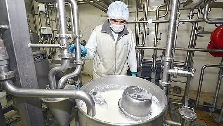 Ticari süt işletmelerince 981 bin 10 ton inek sütü toplandı