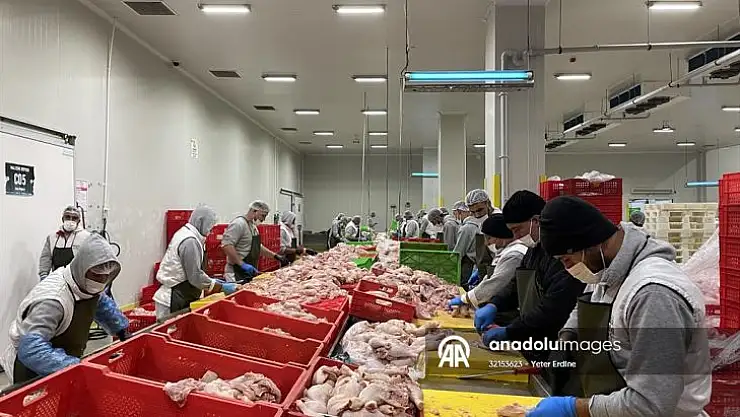 TKDK desteğiyle dünyanın dört bir yanına döner ihraç etmeye başladı