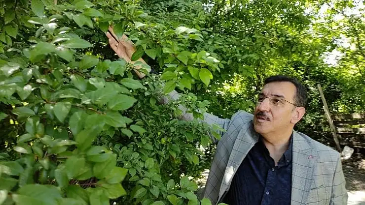 Tüfenkci gündemi değerlendirdi