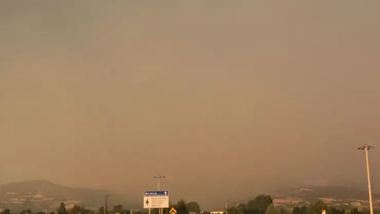 Üç ilde çıkan orman yangınları, Bursa'yı duman ve kül altında bıraktı