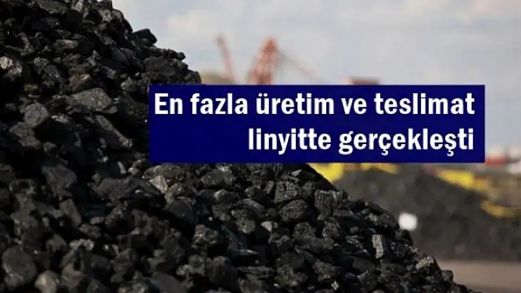 Ülkemizde en fazla üretim ve teslimat linyitte gerçekleşti.
