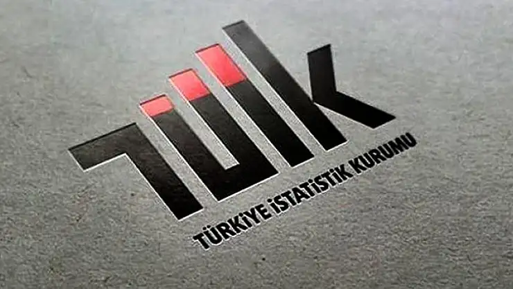 Ülkemizde girişimlerin 2021 yılında doğum oranı yüzde 16,0 oldu.