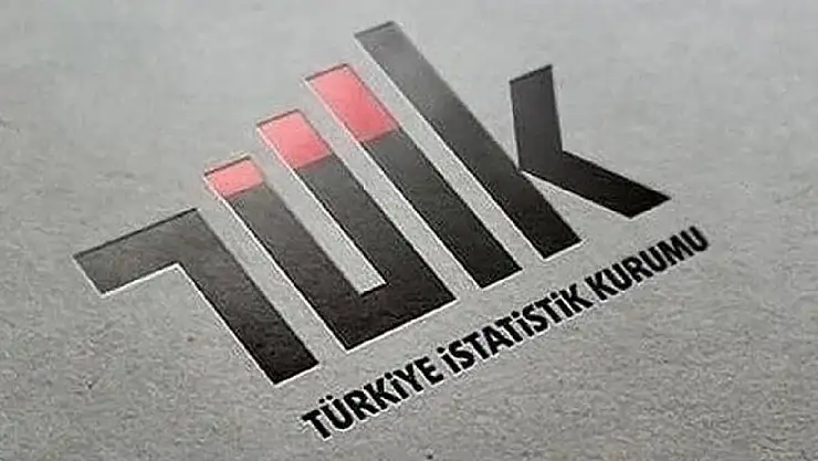 Ülkemizde Hizmet üretim endeksi yıllık yüzde 0,1 azaldı.