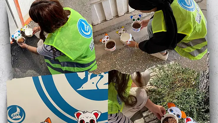 Ülkü Ocakları Malatya'dan Örnek Davranış: Sokak Hayvanlarına Destek Eli Uzandı