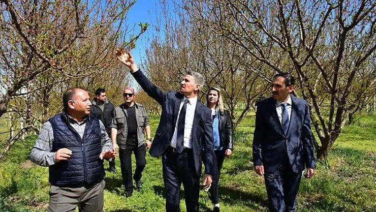 Vali Baruş Zirai Don Nedeniyle Hasar Gören Kayısı Bahçelerinde İncelemelerde Bulundu