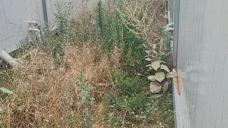 Yıldız, konteynerlerde yaşanan sorunlarla ilgili açıklama yaptı