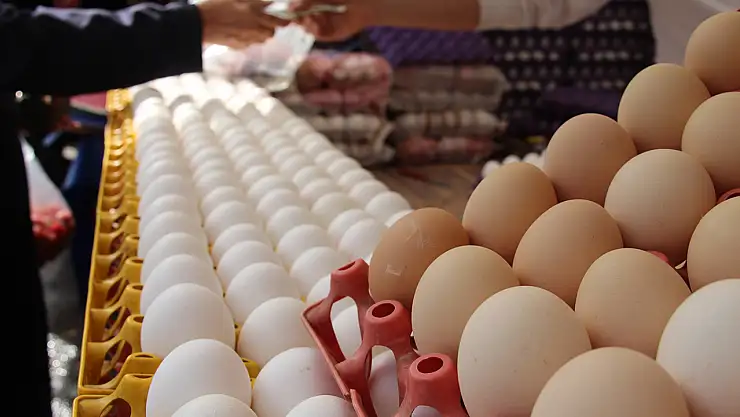 Yumurta fiyatları düştü talepler arttı