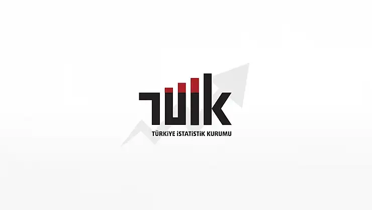 Yurt dışında kontrol edilen girişimlerde en yüksek ciro ticaret faaliyetinde oluştu